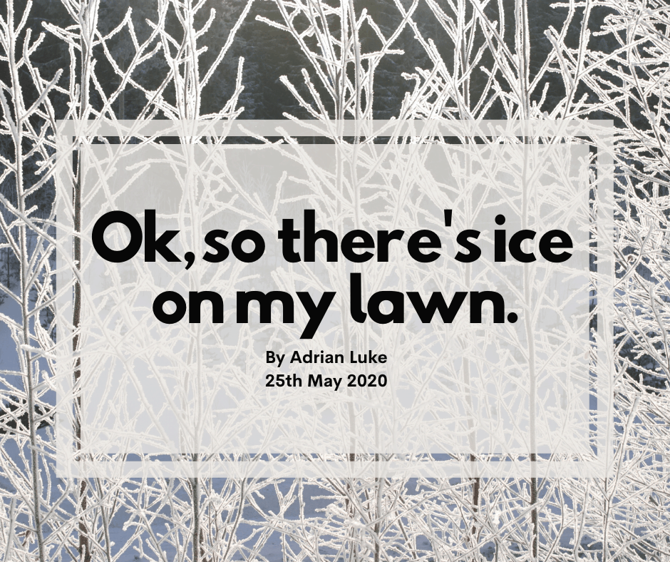 Ok, so there’s ice on my lawn.